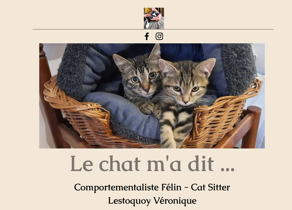 le chat m'a dit , comment me protéger des fortes chaleurs
