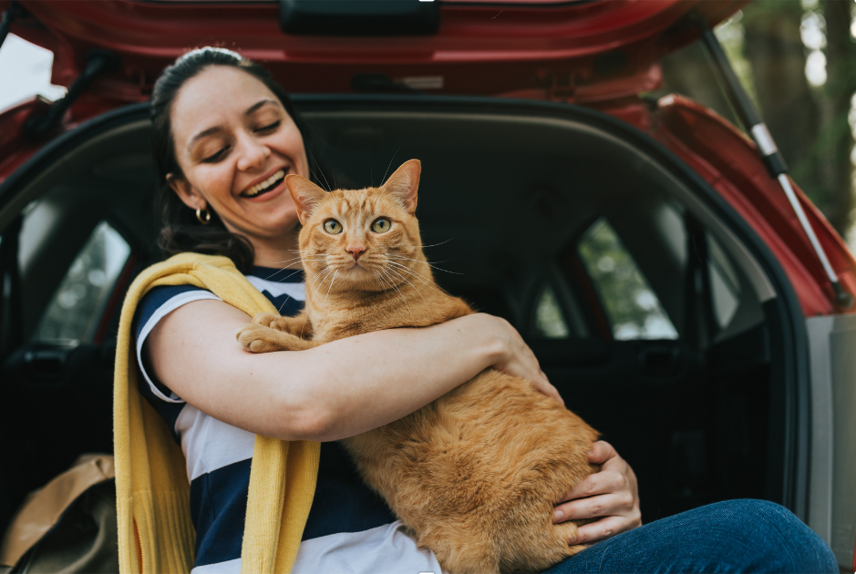 Voyager en Voiture avec votre Chat Conseils pour un Voyage Serein: anti-stress chat voiture pheromone chat , phéromone chat , décontractant chat  ,calmant chat, antistress chat,anti stress chat ,phéromone antistress chat