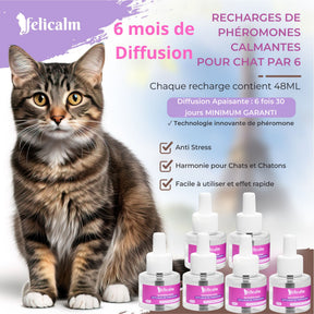 Pack Super Éco 2  Diffuseurs + 6 Recharges de Phéromones- Félicalm