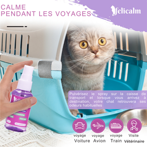 Spray calmant chat Felicalm – Phéromones & plantes naturelles anti-stress