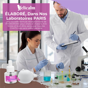 Felicalm – 1 Diffuseur et 1 recharge de Phéromones apaisantes chat et chaton – Anti-stress
