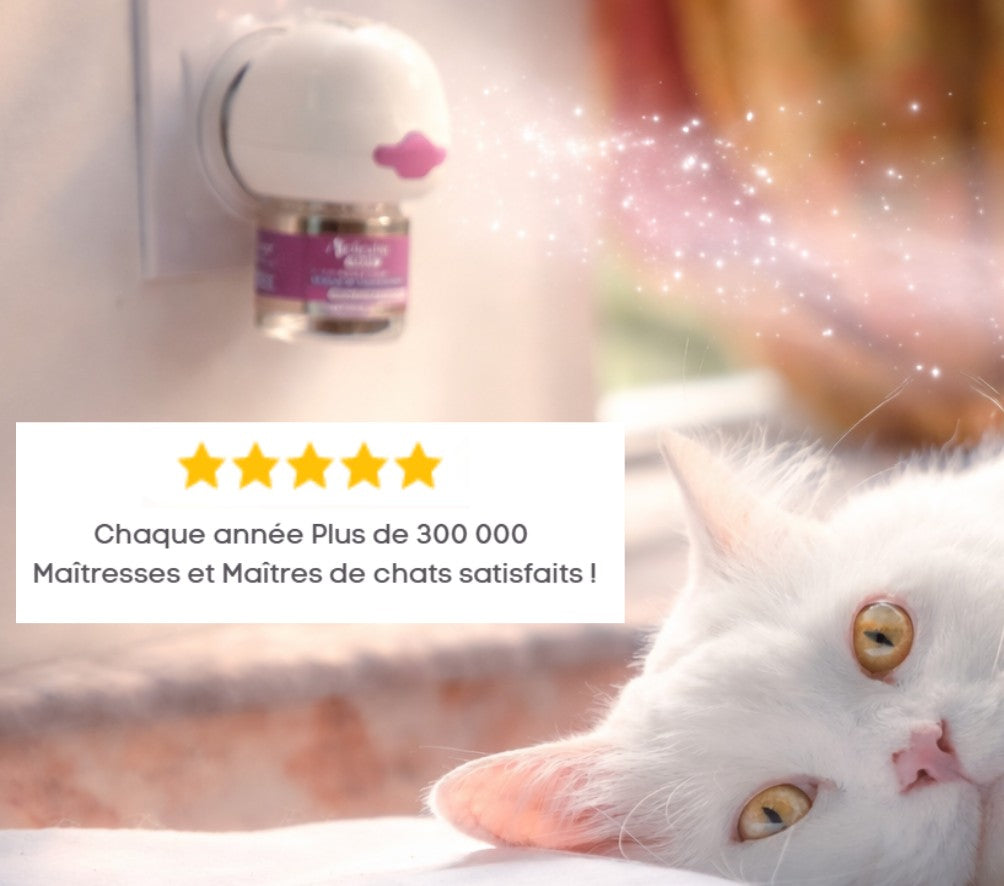 Meilleure Vente - 4 recharges phéromones + 2 diffuseurs | Chat apaisé-Felicalm®