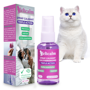Chat et son spray clamant a la valériane et au phéromone