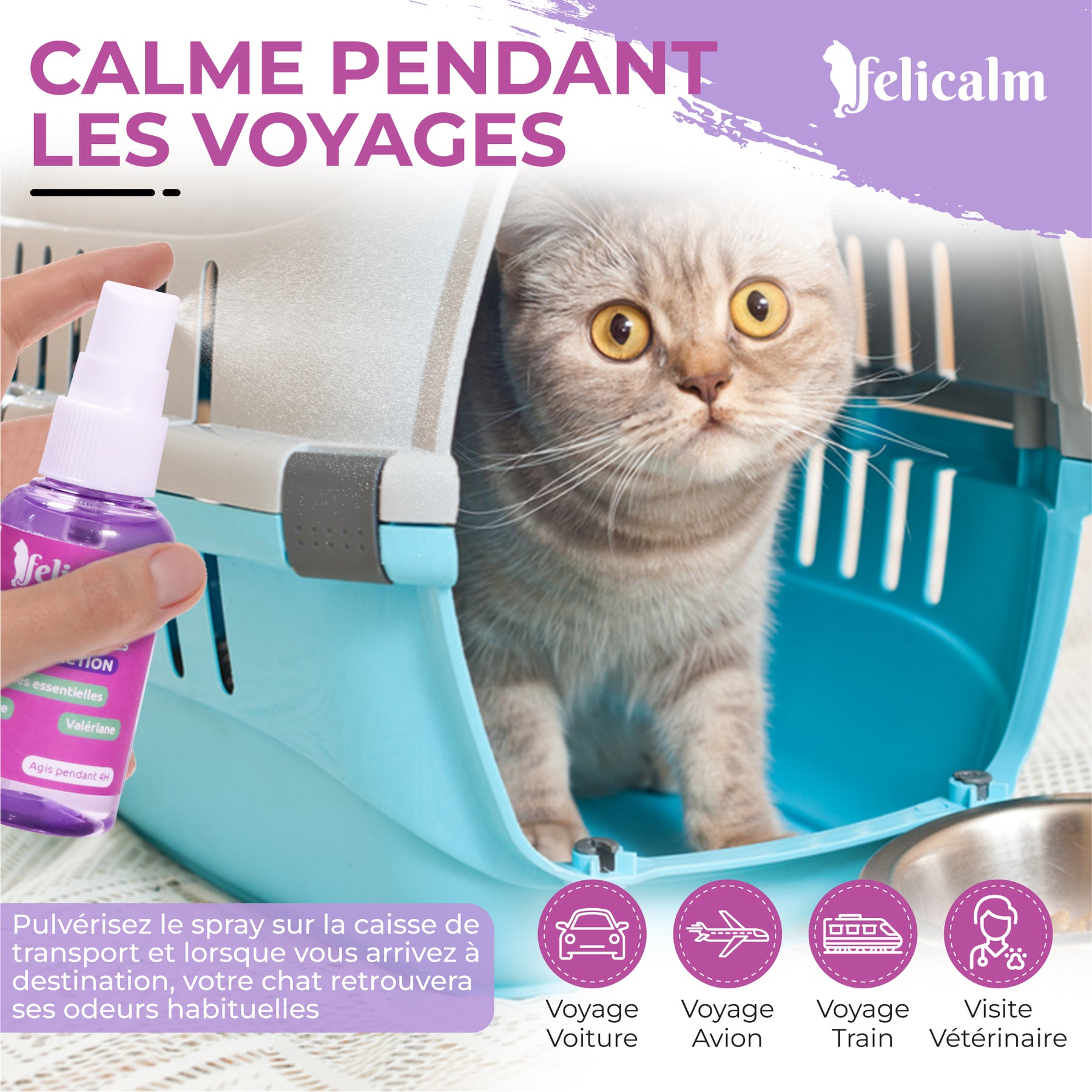 Pack Phéromone Chat –1  Spray + 1 Diffuseur et une Recharge Anti-Stress chat  | Felicalm