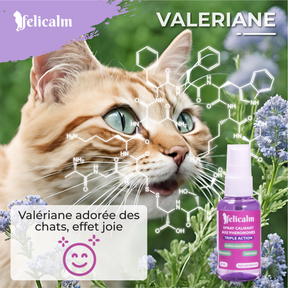 effet de la valériane chez le chat , plante aimée des félins favorise  bonheur et harmonie