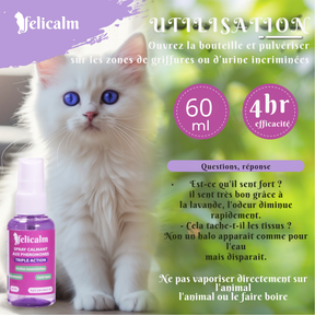 utilisation du spray aux phéromones pour calmer son chaton blanc