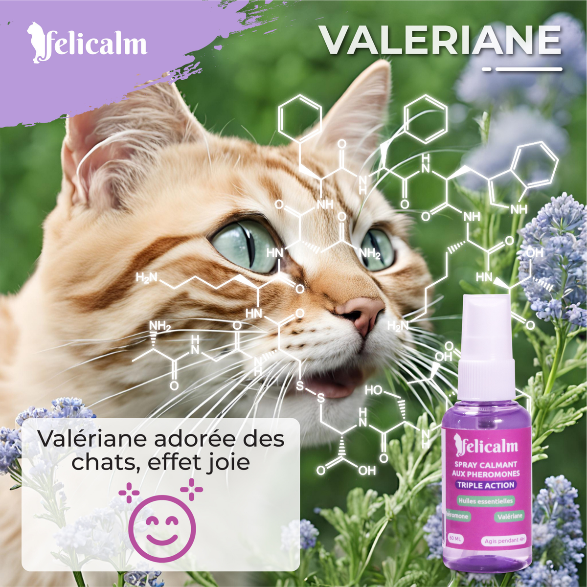 Pack Phéromone Chat –1  Spray + 1 Diffuseur et une Recharge Anti-Stress chat  | Felicalm